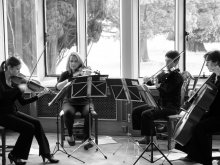 string quartet entertaining wedding guests